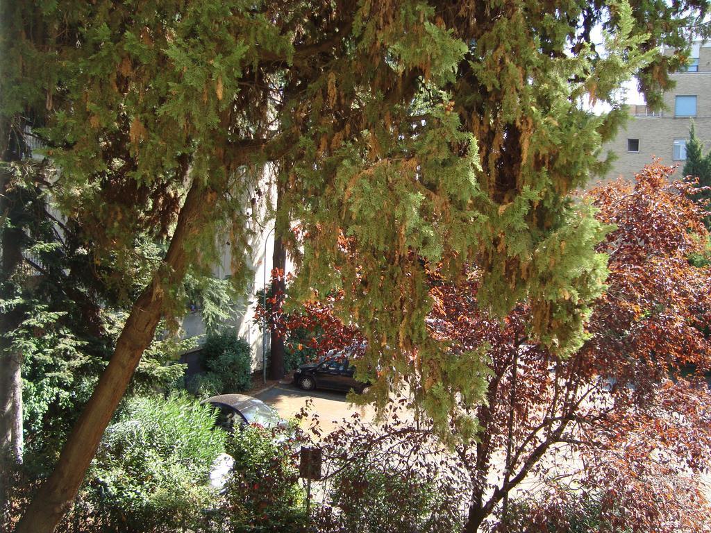 Villa Sciarra Ρώμη Δωμάτιο φωτογραφία